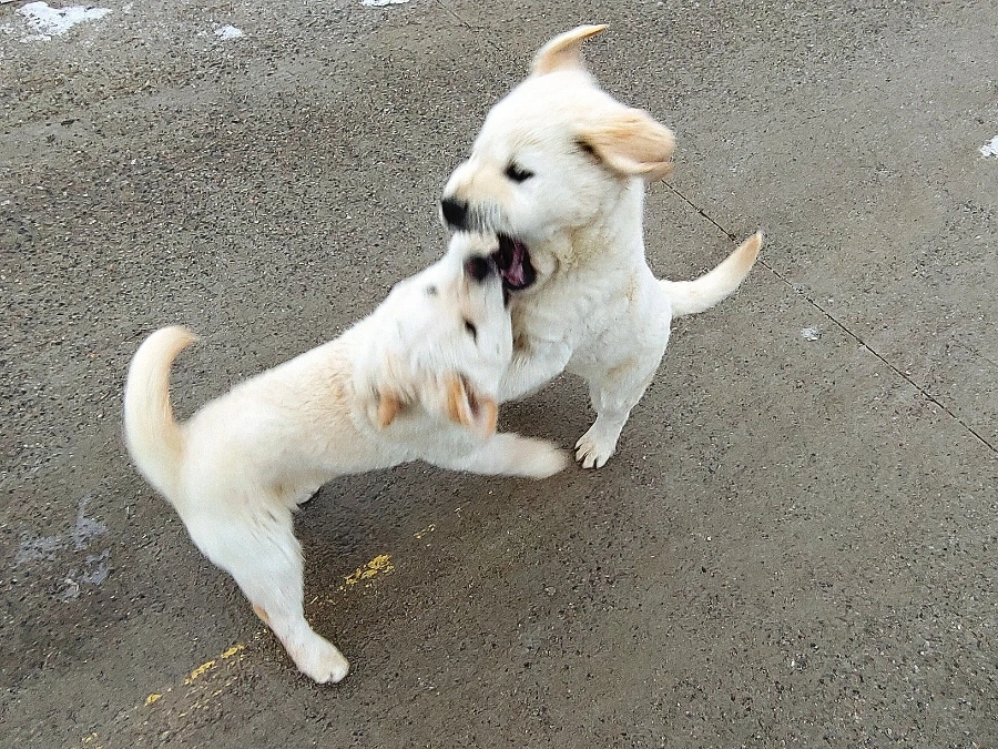 1709389121877.jpg?type=w966