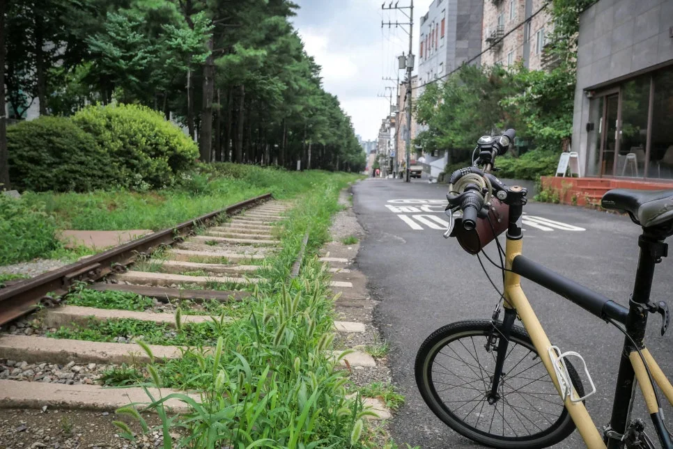 P1098405-0.jpg?type=w966