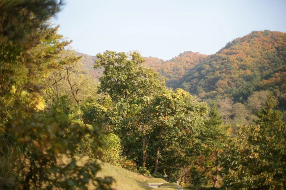 DSC09927.JPG?type=w966