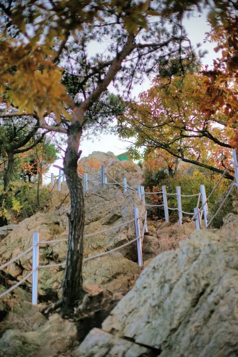 DSC09979-0.jpg?type=w466