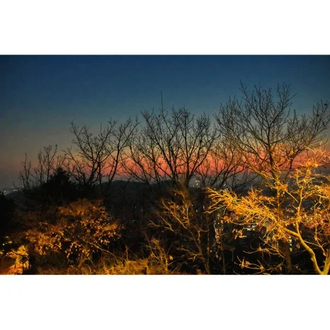 DSC_0020-0-re.jpg?type=w466