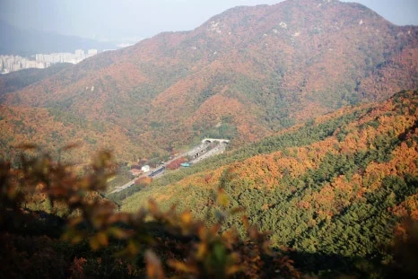 DSC09984-0.jpg?type=w466