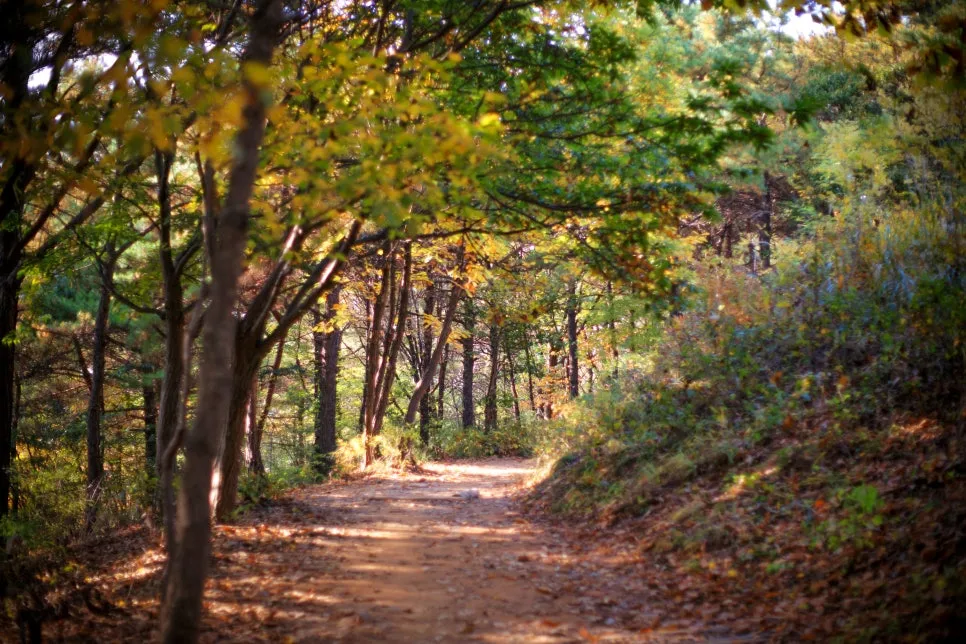 DSC09935-0.jpg?type=w966