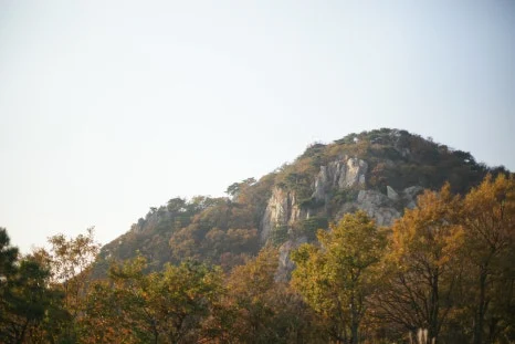 DSC00029.JPG?type=w466