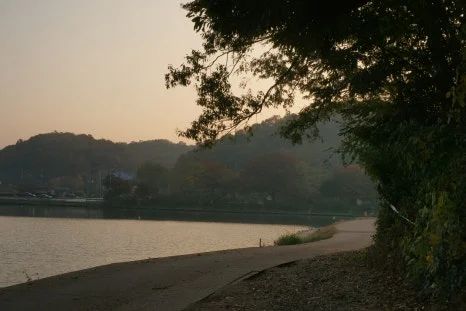 DSC00114.JPG?type=w466