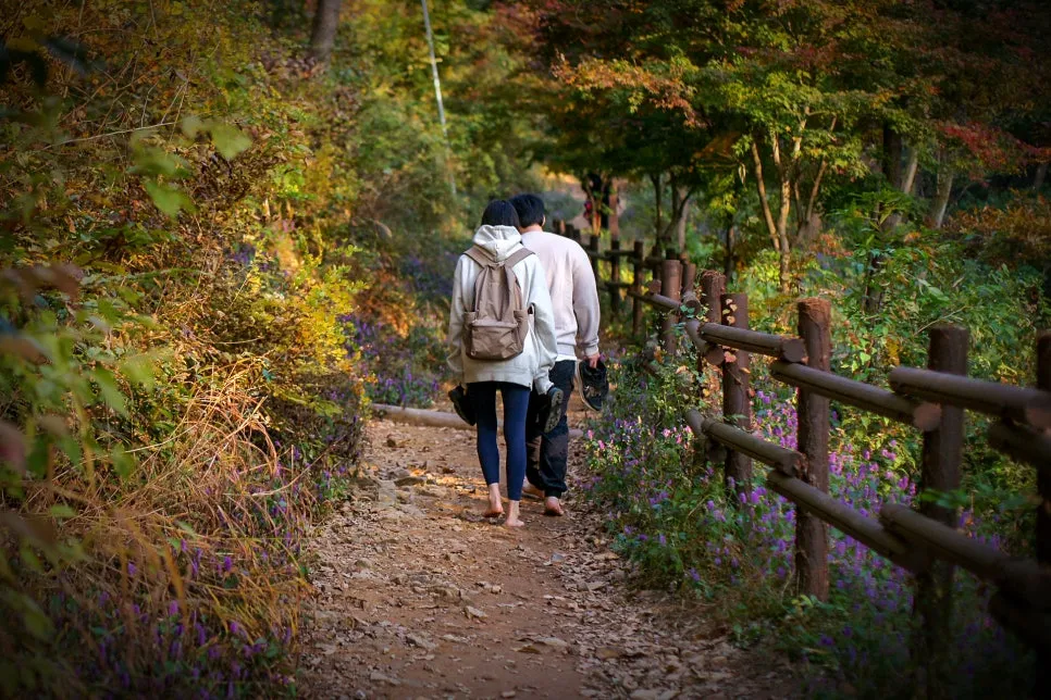 SE-94e165c2-90c3-4e1e-b5be-9d26efec34e4.jpg?type=w966