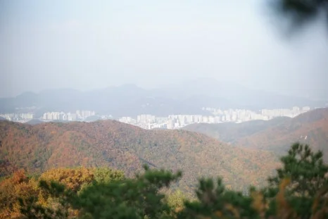 DSC09981.JPG?type=w466