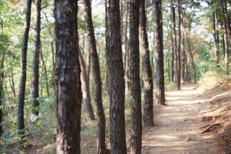 DSC09939.JPG?type=w466