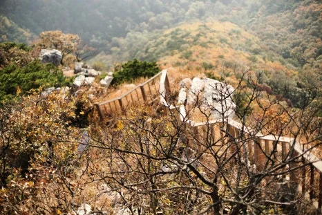 DSC09996-0.jpg?type=w466