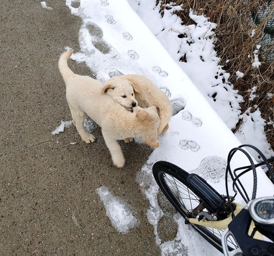 1709388574803.jpg?type=w966