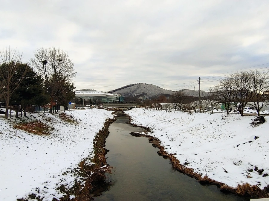 1709389005744.jpg?type=w966