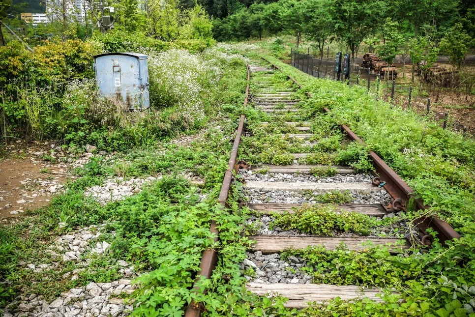 P1098329-0.jpg?type=w966