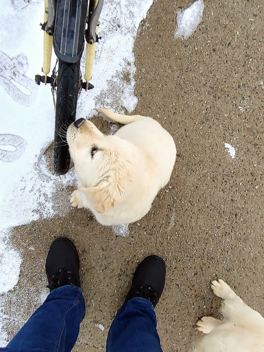 1709389279689.jpg?type=w966