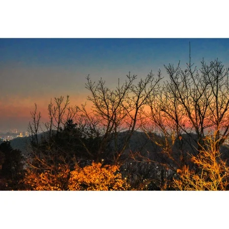 DSC_0034-0-re.jpg?type=w466