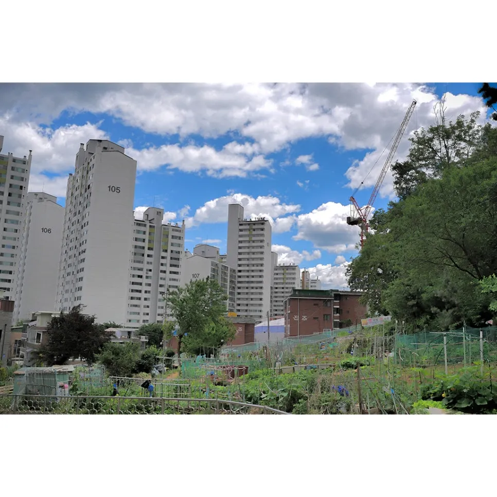 P1097282-0-re.jpg?type=w966