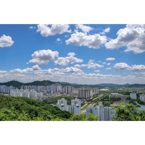 P1097274-000-tr.jpg?type=w466