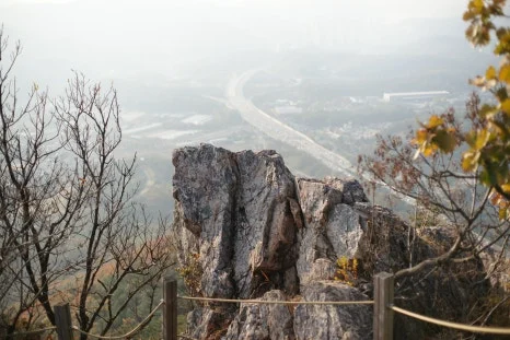 DSC09992.JPG?type=w466