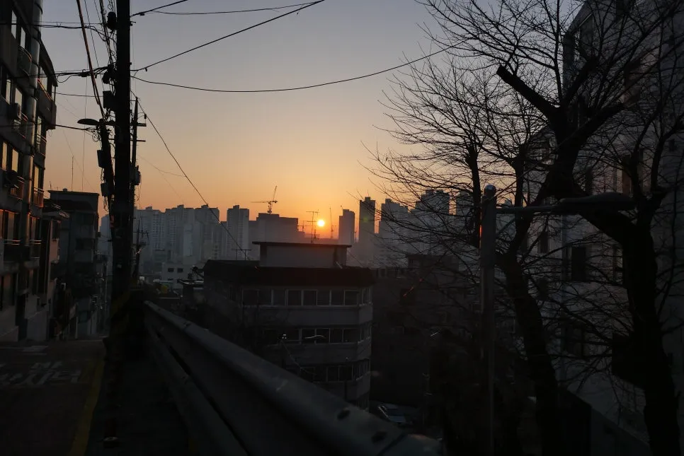 P1075759.JPG?type=w966