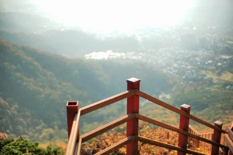 DSC00002-0.jpg?type=w466