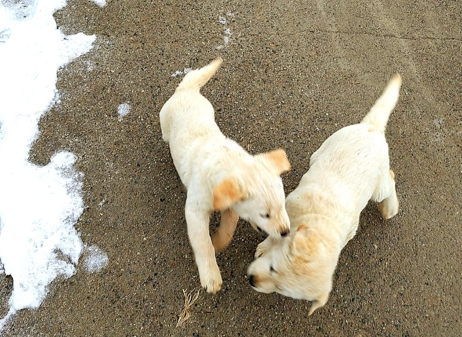 1709388431137.jpg?type=w966