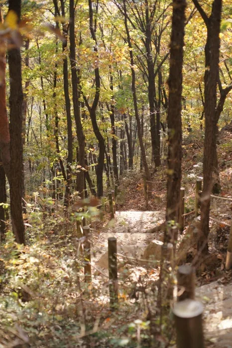 DSC09944.JPG?type=w466