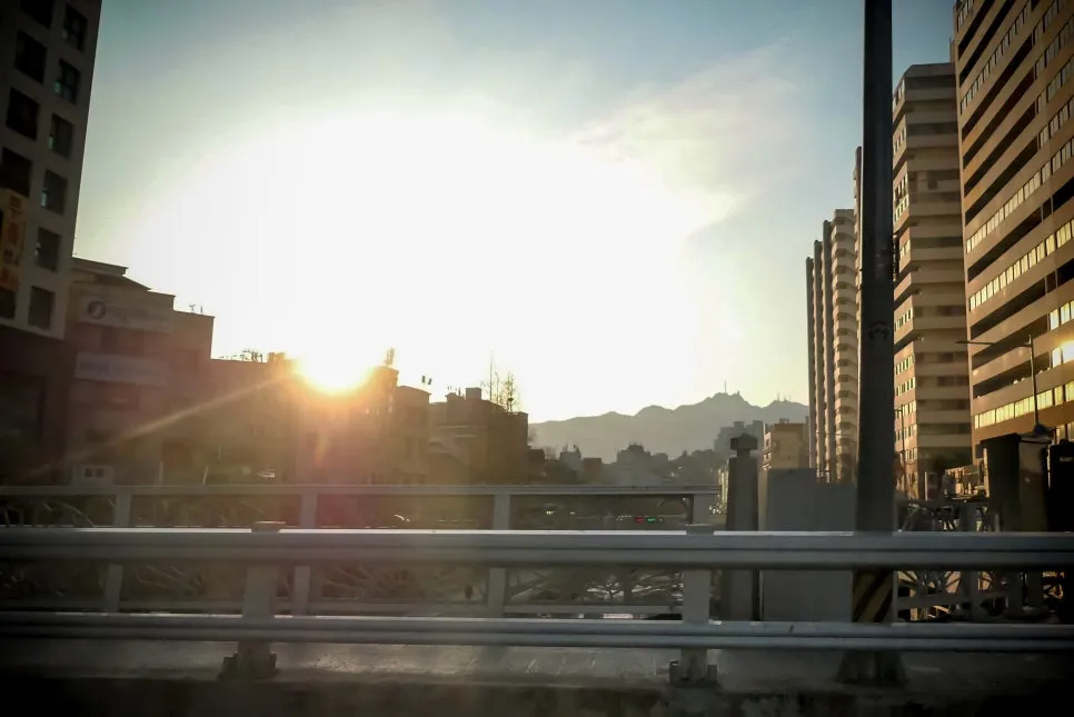 P1063807-0.jpg?type=w966