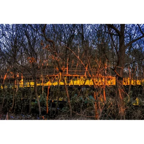 DSC_0011-00-re.jpg?type=w466