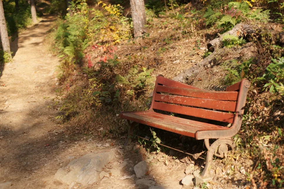 DSC09942.JPG?type=w966