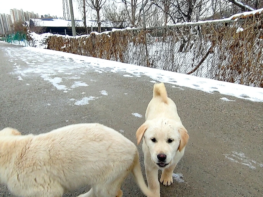 1709389231919.jpg?type=w966