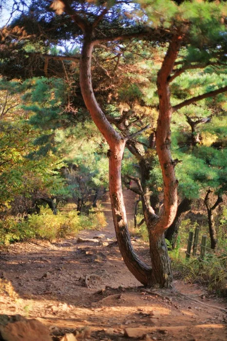 DSC00025-0.jpg?type=w466