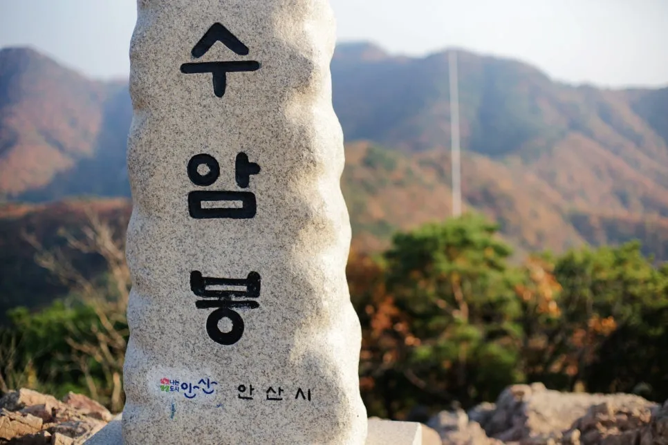 DSC09990-0.jpg?type=w966