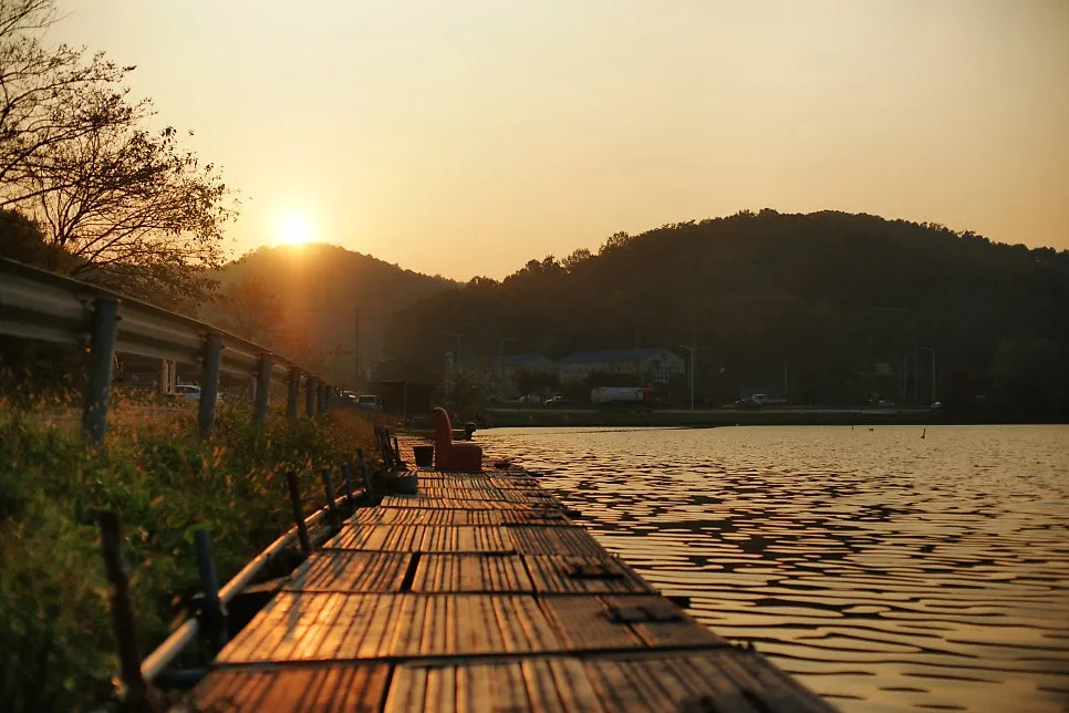 DSC00100-0.jpg?type=w966