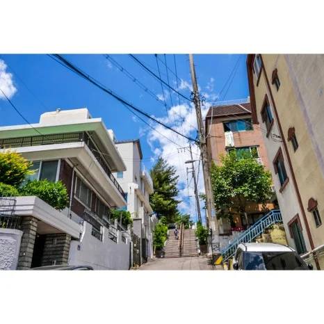 P1097259-rrt.jpg?type=w466