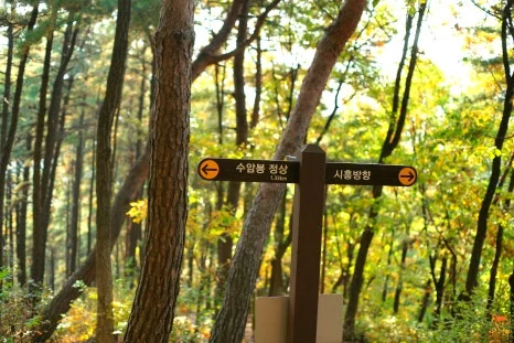 SE-446cda9c-893d-47e2-8e92-2ff8d1973353.jpg?type=w466