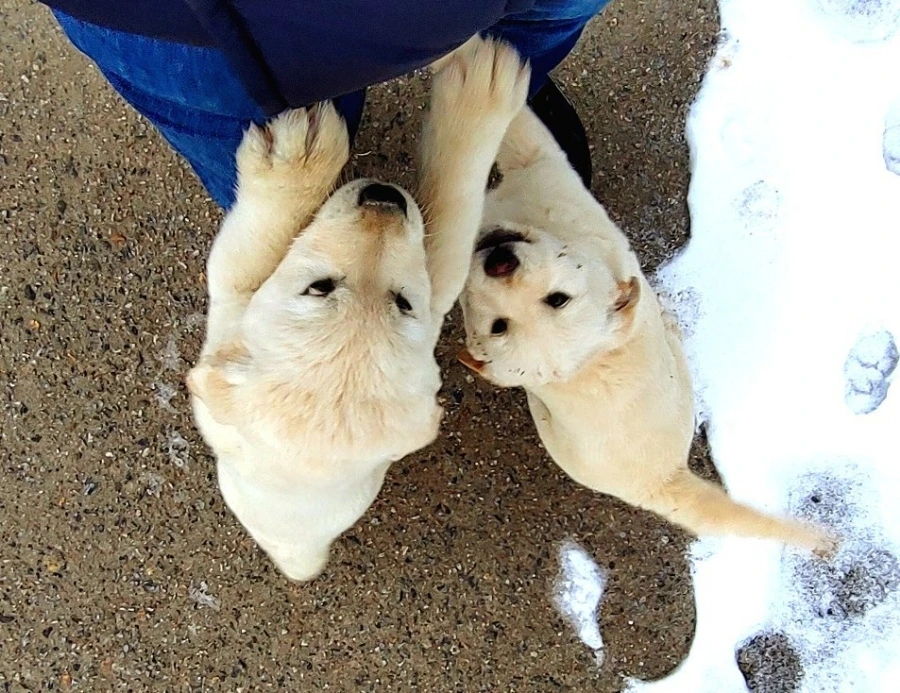 1709388452765.jpg?type=w966