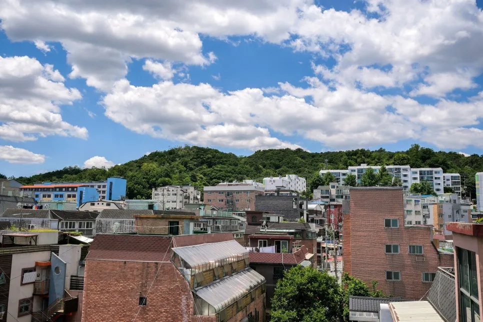 P1097234-0.jpg?type=w966