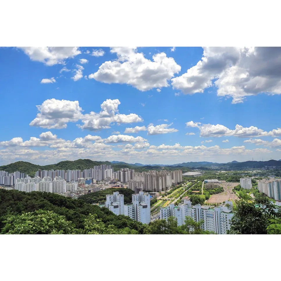 P1097268-re.jpg?type=w966