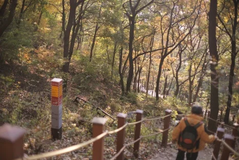 DSC00034.JPG?type=w466