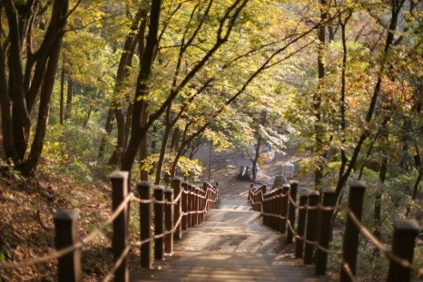 DSC00038.JPG?type=w466