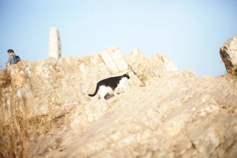 DSC00008.JPG?type=w466