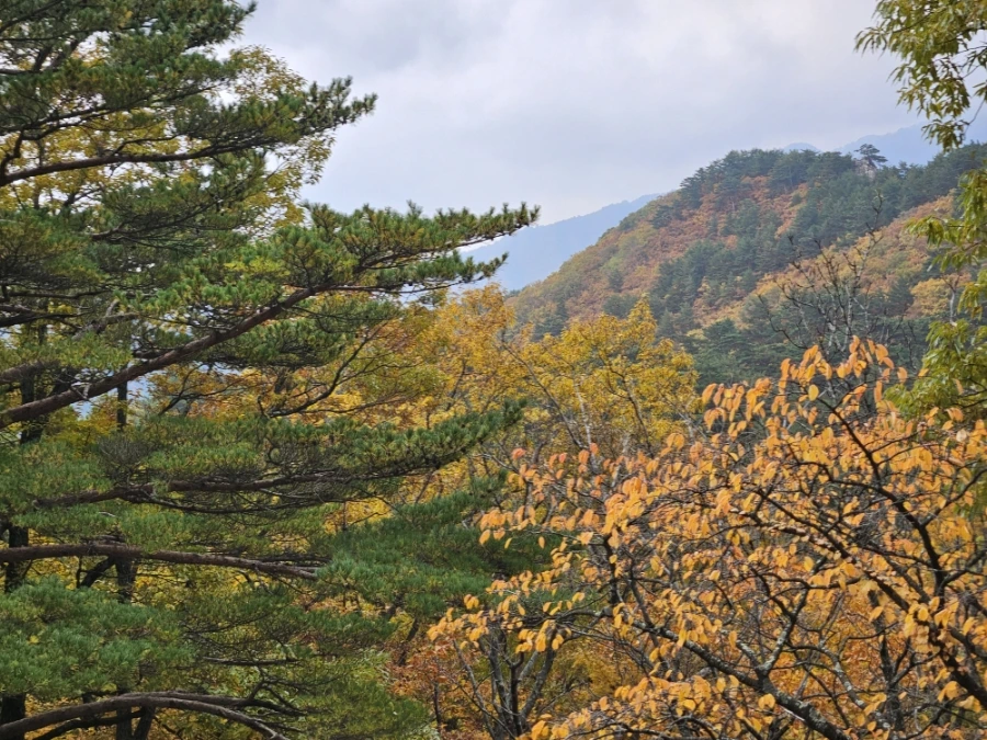 900%EF%BC%BF20251031%EF%BC%BF103432.jpg?type=w1