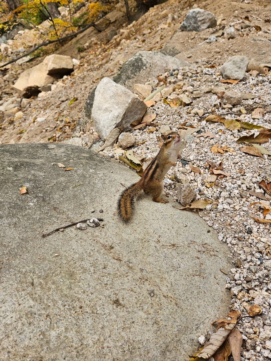 900%EF%BC%BF20251031%EF%BC%BF101446.jpg?type=w1