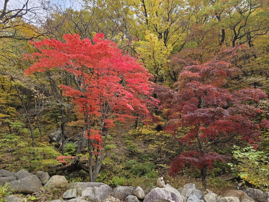 900%EF%BC%BF20251031%EF%BC%BF101002.jpg?type=w1