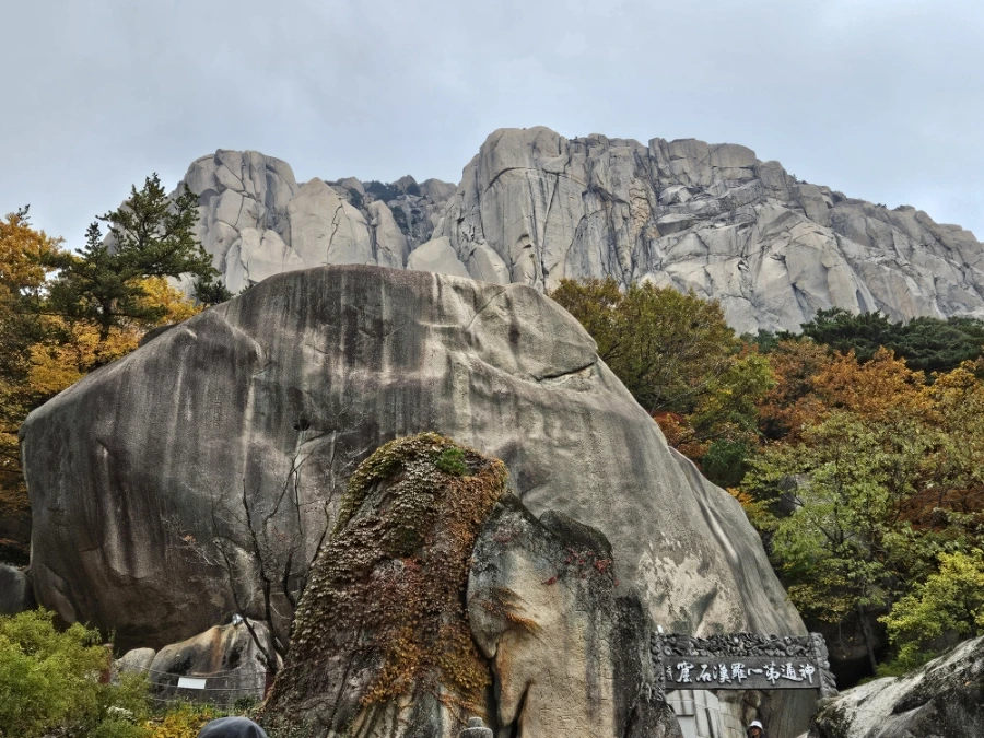 900%EF%BC%BF20251031%EF%BC%BF104244.jpg?type=w1