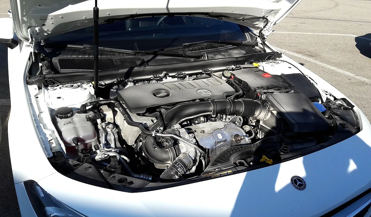 20220111_141512.jpg?type=w1600