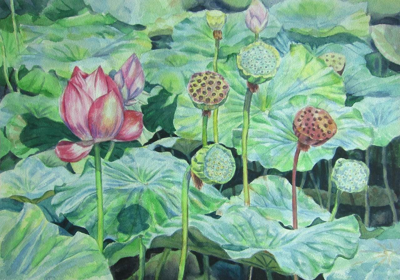 51ㄴ 삶의 낙.JPG