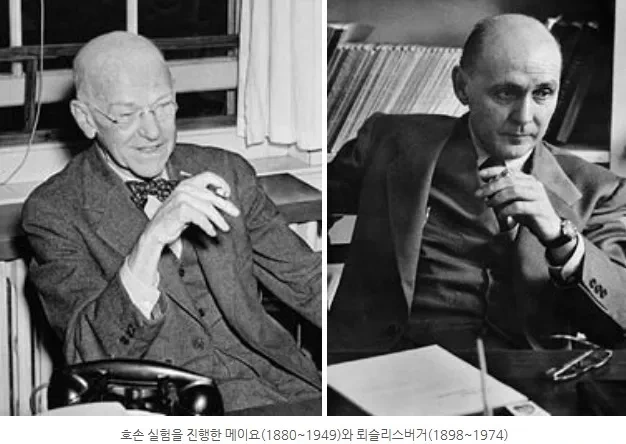 optimize?src=https%3A%2F%2Fstatic.wanted.co.kr%2Fcommunity%2F2025%2F9%2F3%2Fb3b57018-d01c-4e92-9c77-4262dc575afa&w=inherit&q=80