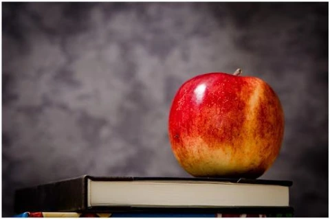 %EC%9D%B8%EB%AC%B8%ED%95%99%EC%A0%81_%EC%82%AC%EA%B3%A0_%EC%9D%B4%EB%AF%B8%EC%A7%80.jpg?type=w1