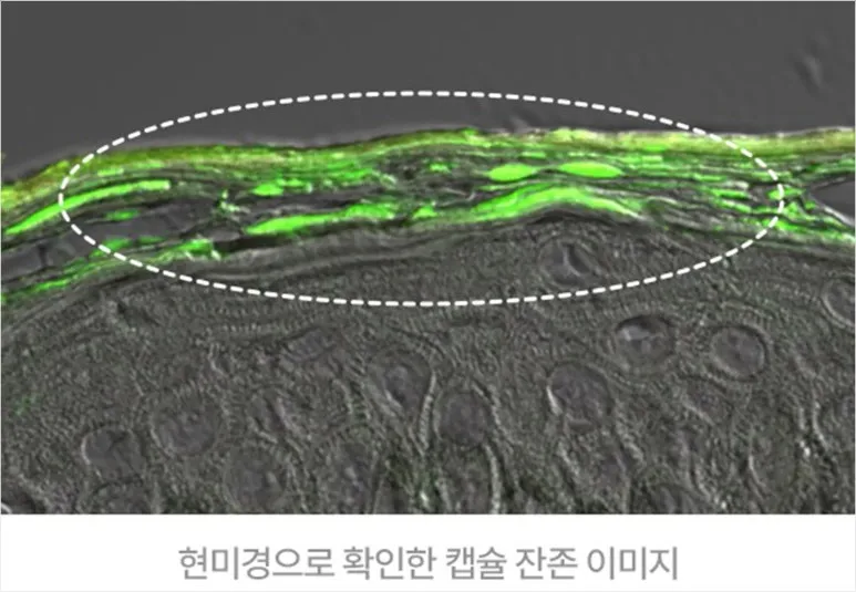 AS-251111_SC2-IMG01.jpg?type=w773