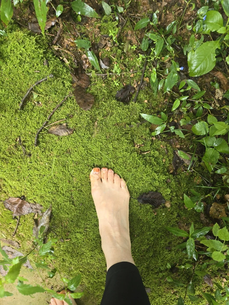 KakaoTalk_20251005_174739294.jpg?type=w1